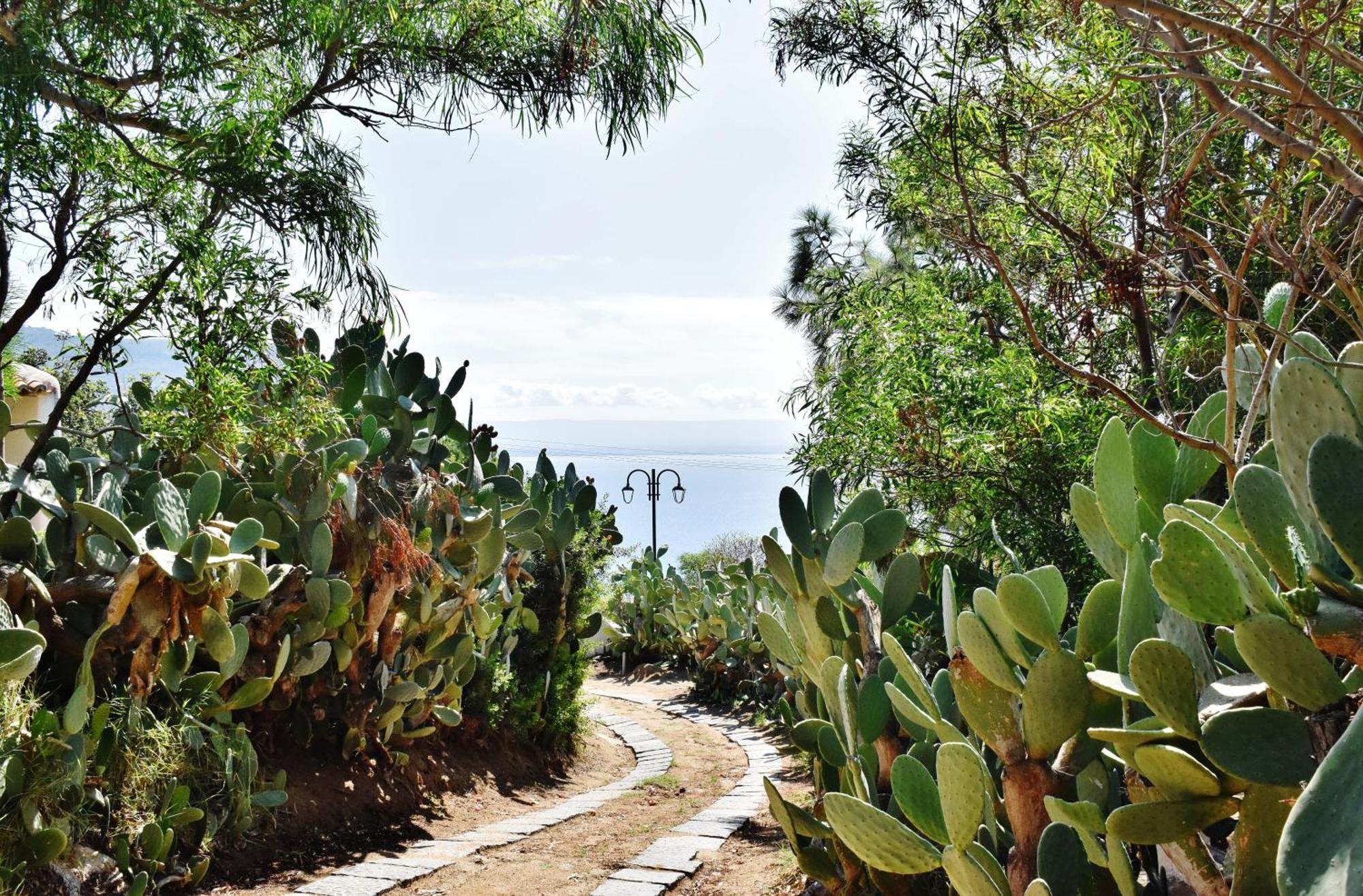 Calabria Beach Villa'S Капо-Ватикано Екстер'єр фото